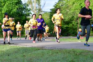 BIB: 
                            <button type="button" onclick="openModal(5144379)" class="btn btn-primary btn-sm float-right btn-popup" data-toggle="modal" data-target=".modal-high-quality">
                        <i class="fas fa-shopping-cart"></i> Add to Cart
                    </button>
                                            <button type="button" onclick="isThisMe(5144379, true)" class="btn btn-success btn-sm float-right btn-popup btn-isme hidden" data-toggle="tooltip" data-placement="bottom" title="นี่คือรูปของคุณใช่ไหม คลิกที่นี่เพื่อเอาเข้าอัลบั้ม">
                        <i class="fas fa-plus"></i> Add to album
                    </button>
                    <button type="button" onclick="isThisMe(5144379, false)" class="btn btn-warning btn-sm float-right btn-popup btn-isnotme hidden">
                        <i class="fas fa-ban"></i> Remove from album
                    </button>