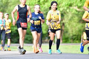 BIB: 2019, 1156, 1300, 0141
                            <button type="button" onclick="openModal(5144116)" class="btn btn-primary btn-sm float-right btn-popup" data-toggle="modal" data-target=".modal-high-quality">
                        <i class="fas fa-shopping-cart"></i> Add to Cart
                    </button>
                                            <button type="button" onclick="isThisMe(5144116, true)" class="btn btn-success btn-sm float-right btn-popup btn-isme hidden" data-toggle="tooltip" data-placement="bottom" title="นี่คือรูปของคุณใช่ไหม คลิกที่นี่เพื่อเอาเข้าอัลบั้ม">
                        <i class="fas fa-plus"></i> Add to album
                    </button>
                    <button type="button" onclick="isThisMe(5144116, false)" class="btn btn-warning btn-sm float-right btn-popup btn-isnotme hidden">
                        <i class="fas fa-ban"></i> Remove from album
                    </button>