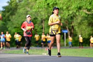 BIB: 542, 12814
                            <button type="button" onclick="openModal(5144554)" class="btn btn-primary btn-sm float-right btn-popup" data-toggle="modal" data-target=".modal-high-quality">
                        <i class="fas fa-shopping-cart"></i> Add to Cart
                    </button>
                                            <button type="button" onclick="isThisMe(5144554, true)" class="btn btn-success btn-sm float-right btn-popup btn-isme hidden" data-toggle="tooltip" data-placement="bottom" title="นี่คือรูปของคุณใช่ไหม คลิกที่นี่เพื่อเอาเข้าอัลบั้ม">
                        <i class="fas fa-plus"></i> Add to album
                    </button>
                    <button type="button" onclick="isThisMe(5144554, false)" class="btn btn-warning btn-sm float-right btn-popup btn-isnotme hidden">
                        <i class="fas fa-ban"></i> Remove from album
                    </button>