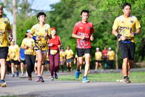 BIB: 
                            <button type="button" onclick="openModal(5145295)" class="btn btn-primary btn-sm float-right btn-popup" data-toggle="modal" data-target=".modal-high-quality">
                        <i class="fas fa-shopping-cart"></i> Add to Cart
                    </button>
                                            <button type="button" onclick="isThisMe(5145295, true)" class="btn btn-success btn-sm float-right btn-popup btn-isme hidden" data-toggle="tooltip" data-placement="bottom" title="นี่คือรูปของคุณใช่ไหม คลิกที่นี่เพื่อเอาเข้าอัลบั้ม">
                        <i class="fas fa-plus"></i> Add to album
                    </button>
                    <button type="button" onclick="isThisMe(5145295, false)" class="btn btn-warning btn-sm float-right btn-popup btn-isnotme hidden">
                        <i class="fas fa-ban"></i> Remove from album
                    </button>