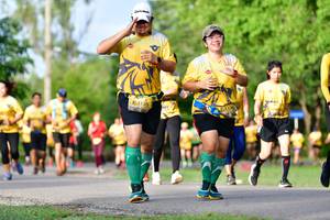 BIB: 1135, 113
                            <button type="button" onclick="openModal(5145337)" class="btn btn-primary btn-sm float-right btn-popup" data-toggle="modal" data-target=".modal-high-quality">
                        <i class="fas fa-shopping-cart"></i> Add to Cart
                    </button>
                                            <button type="button" onclick="isThisMe(5145337, true)" class="btn btn-success btn-sm float-right btn-popup btn-isme hidden" data-toggle="tooltip" data-placement="bottom" title="นี่คือรูปของคุณใช่ไหม คลิกที่นี่เพื่อเอาเข้าอัลบั้ม">
                        <i class="fas fa-plus"></i> Add to album
                    </button>
                    <button type="button" onclick="isThisMe(5145337, false)" class="btn btn-warning btn-sm float-right btn-popup btn-isnotme hidden">
                        <i class="fas fa-ban"></i> Remove from album
                    </button>