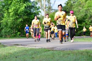 BIB: 
                            <button type="button" onclick="openModal(5145972)" class="btn btn-primary btn-sm float-right btn-popup" data-toggle="modal" data-target=".modal-high-quality">
                        <i class="fas fa-shopping-cart"></i> Add to Cart
                    </button>
                                            <button type="button" onclick="isThisMe(5145972, true)" class="btn btn-success btn-sm float-right btn-popup btn-isme hidden" data-toggle="tooltip" data-placement="bottom" title="นี่คือรูปของคุณใช่ไหม คลิกที่นี่เพื่อเอาเข้าอัลบั้ม">
                        <i class="fas fa-plus"></i> Add to album
                    </button>
                    <button type="button" onclick="isThisMe(5145972, false)" class="btn btn-warning btn-sm float-right btn-popup btn-isnotme hidden">
                        <i class="fas fa-ban"></i> Remove from album
                    </button>