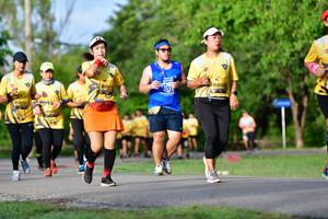 BIB: 
                            <button type="button" onclick="openModal(5146117)" class="btn btn-primary btn-sm float-right btn-popup" data-toggle="modal" data-target=".modal-high-quality">
                        <i class="fas fa-shopping-cart"></i> Add to Cart
                    </button>
                                            <button type="button" onclick="isThisMe(5146117, true)" class="btn btn-success btn-sm float-right btn-popup btn-isme hidden" data-toggle="tooltip" data-placement="bottom" title="นี่คือรูปของคุณใช่ไหม คลิกที่นี่เพื่อเอาเข้าอัลบั้ม">
                        <i class="fas fa-plus"></i> Add to album
                    </button>
                    <button type="button" onclick="isThisMe(5146117, false)" class="btn btn-warning btn-sm float-right btn-popup btn-isnotme hidden">
                        <i class="fas fa-ban"></i> Remove from album
                    </button>