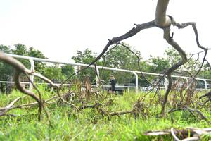 BIB: 
                            <button type="button" onclick="openModal(5204194)" class="btn btn-primary btn-sm float-right btn-popup" data-toggle="modal" data-target=".modal-high-quality">
                        <i class="fas fa-shopping-cart"></i> Add to Cart
                    </button>
                                            <button type="button" onclick="isThisMe(5204194, true)" class="btn btn-success btn-sm float-right btn-popup btn-isme hidden" data-toggle="tooltip" data-placement="bottom" title="นี่คือรูปของคุณใช่ไหม คลิกที่นี่เพื่อเอาเข้าอัลบั้ม">
                        <i class="fas fa-plus"></i> Add to album
                    </button>
                    <button type="button" onclick="isThisMe(5204194, false)" class="btn btn-warning btn-sm float-right btn-popup btn-isnotme hidden">
                        <i class="fas fa-ban"></i> Remove from album
                    </button>