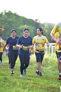 BIB: 1279, 118
                            <button type="button" onclick="openModal(5132197)" class="btn btn-primary btn-sm float-right btn-popup" data-toggle="modal" data-target=".modal-high-quality">
                        <i class="fas fa-shopping-cart"></i> Add to Cart
                    </button>
                                            <button type="button" onclick="isThisMe(5132197, true)" class="btn btn-success btn-sm float-right btn-popup btn-isme hidden" data-toggle="tooltip" data-placement="bottom" title="นี่คือรูปของคุณใช่ไหม คลิกที่นี่เพื่อเอาเข้าอัลบั้ม">
                        <i class="fas fa-plus"></i> Add to album
                    </button>
                    <button type="button" onclick="isThisMe(5132197, false)" class="btn btn-warning btn-sm float-right btn-popup btn-isnotme hidden">
                        <i class="fas fa-ban"></i> Remove from album
                    </button>