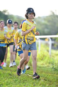 BIB: 0384, 
                            <button type="button" onclick="openModal(5139567)" class="btn btn-primary btn-sm float-right btn-popup" data-toggle="modal" data-target=".modal-high-quality">
                        <i class="fas fa-shopping-cart"></i> Add to Cart
                    </button>
                                            <button type="button" onclick="isThisMe(5139567, true)" class="btn btn-success btn-sm float-right btn-popup btn-isme hidden" data-toggle="tooltip" data-placement="bottom" title="นี่คือรูปของคุณใช่ไหม คลิกที่นี่เพื่อเอาเข้าอัลบั้ม">
                        <i class="fas fa-plus"></i> Add to album
                    </button>
                    <button type="button" onclick="isThisMe(5139567, false)" class="btn btn-warning btn-sm float-right btn-popup btn-isnotme hidden">
                        <i class="fas fa-ban"></i> Remove from album
                    </button>