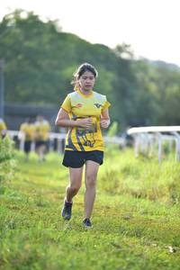 BIB: 
                            <button type="button" onclick="openModal(5152341)" class="btn btn-primary btn-sm float-right btn-popup" data-toggle="modal" data-target=".modal-high-quality">
                        <i class="fas fa-shopping-cart"></i> Add to Cart
                    </button>
                                            <button type="button" onclick="isThisMe(5152341, true)" class="btn btn-success btn-sm float-right btn-popup btn-isme hidden" data-toggle="tooltip" data-placement="bottom" title="นี่คือรูปของคุณใช่ไหม คลิกที่นี่เพื่อเอาเข้าอัลบั้ม">
                        <i class="fas fa-plus"></i> Add to album
                    </button>
                    <button type="button" onclick="isThisMe(5152341, false)" class="btn btn-warning btn-sm float-right btn-popup btn-isnotme hidden">
                        <i class="fas fa-ban"></i> Remove from album
                    </button>