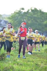 BIB: 0343
                            <button type="button" onclick="openModal(5135496)" class="btn btn-primary btn-sm float-right btn-popup" data-toggle="modal" data-target=".modal-high-quality">
                        <i class="fas fa-shopping-cart"></i> Add to Cart
                    </button>
                                            <button type="button" onclick="isThisMe(5135496, true)" class="btn btn-success btn-sm float-right btn-popup btn-isme hidden" data-toggle="tooltip" data-placement="bottom" title="นี่คือรูปของคุณใช่ไหม คลิกที่นี่เพื่อเอาเข้าอัลบั้ม">
                        <i class="fas fa-plus"></i> Add to album
                    </button>
                    <button type="button" onclick="isThisMe(5135496, false)" class="btn btn-warning btn-sm float-right btn-popup btn-isnotme hidden">
                        <i class="fas fa-ban"></i> Remove from album
                    </button>