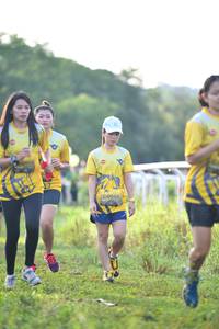 BIB: 002, 622
                            <button type="button" onclick="openModal(5136156)" class="btn btn-primary btn-sm float-right btn-popup" data-toggle="modal" data-target=".modal-high-quality">
                        <i class="fas fa-shopping-cart"></i> Add to Cart
                    </button>
                                            <button type="button" onclick="isThisMe(5136156, true)" class="btn btn-success btn-sm float-right btn-popup btn-isme hidden" data-toggle="tooltip" data-placement="bottom" title="นี่คือรูปของคุณใช่ไหม คลิกที่นี่เพื่อเอาเข้าอัลบั้ม">
                        <i class="fas fa-plus"></i> Add to album
                    </button>
                    <button type="button" onclick="isThisMe(5136156, false)" class="btn btn-warning btn-sm float-right btn-popup btn-isnotme hidden">
                        <i class="fas fa-ban"></i> Remove from album
                    </button>