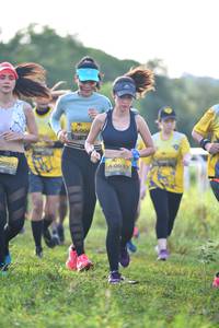 BIB: 000, 0033, 007
                            <button type="button" onclick="openModal(5135690)" class="btn btn-primary btn-sm float-right btn-popup" data-toggle="modal" data-target=".modal-high-quality">
                        <i class="fas fa-shopping-cart"></i> Add to Cart
                    </button>
                                            <button type="button" onclick="isThisMe(5135690, true)" class="btn btn-success btn-sm float-right btn-popup btn-isme hidden" data-toggle="tooltip" data-placement="bottom" title="นี่คือรูปของคุณใช่ไหม คลิกที่นี่เพื่อเอาเข้าอัลบั้ม">
                        <i class="fas fa-plus"></i> Add to album
                    </button>
                    <button type="button" onclick="isThisMe(5135690, false)" class="btn btn-warning btn-sm float-right btn-popup btn-isnotme hidden">
                        <i class="fas fa-ban"></i> Remove from album
                    </button>