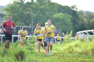 BIB: 
                            <button type="button" onclick="openModal(5144992)" class="btn btn-primary btn-sm float-right btn-popup" data-toggle="modal" data-target=".modal-high-quality">
                        <i class="fas fa-shopping-cart"></i> Add to Cart
                    </button>
                                            <button type="button" onclick="isThisMe(5144992, true)" class="btn btn-success btn-sm float-right btn-popup btn-isme hidden" data-toggle="tooltip" data-placement="bottom" title="นี่คือรูปของคุณใช่ไหม คลิกที่นี่เพื่อเอาเข้าอัลบั้ม">
                        <i class="fas fa-plus"></i> Add to album
                    </button>
                    <button type="button" onclick="isThisMe(5144992, false)" class="btn btn-warning btn-sm float-right btn-popup btn-isnotme hidden">
                        <i class="fas fa-ban"></i> Remove from album
                    </button>