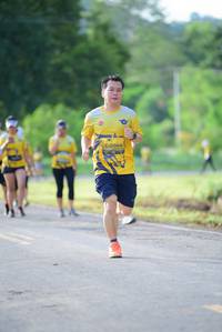 BIB: 
                            <button type="button" onclick="openModal(4903775)" class="btn btn-primary btn-sm float-right btn-popup" data-toggle="modal" data-target=".modal-high-quality">
                        <i class="fas fa-shopping-cart"></i> Add to Cart
                    </button>
                                            <button type="button" onclick="isThisMe(4903775, true)" class="btn btn-success btn-sm float-right btn-popup btn-isme hidden" data-toggle="tooltip" data-placement="bottom" title="นี่คือรูปของคุณใช่ไหม คลิกที่นี่เพื่อเอาเข้าอัลบั้ม">
                        <i class="fas fa-plus"></i> Add to album
                    </button>
                    <button type="button" onclick="isThisMe(4903775, false)" class="btn btn-warning btn-sm float-right btn-popup btn-isnotme hidden">
                        <i class="fas fa-ban"></i> Remove from album
                    </button>