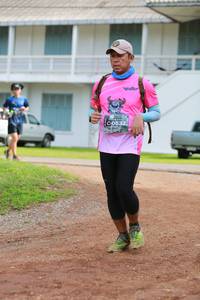 BIB: 532
                            <button type="button" onclick="openModal(5028317)" class="btn btn-primary btn-sm float-right btn-popup" data-toggle="modal" data-target=".modal-high-quality">
                        <i class="fas fa-shopping-cart"></i> Add to Cart
                    </button>
                                            <button type="button" onclick="isThisMe(5028317, true)" class="btn btn-success btn-sm float-right btn-popup btn-isme hidden" data-toggle="tooltip" data-placement="bottom" title="นี่คือรูปของคุณใช่ไหม คลิกที่นี่เพื่อเอาเข้าอัลบั้ม">
                        <i class="fas fa-plus"></i> Add to album
                    </button>
                    <button type="button" onclick="isThisMe(5028317, false)" class="btn btn-warning btn-sm float-right btn-popup btn-isnotme hidden">
                        <i class="fas fa-ban"></i> Remove from album
                    </button>