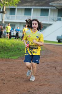 BIB: 039
                            <button type="button" onclick="openModal(4967337)" class="btn btn-primary btn-sm float-right btn-popup" data-toggle="modal" data-target=".modal-high-quality">
                        <i class="fas fa-shopping-cart"></i> Add to Cart
                    </button>
                                            <button type="button" onclick="isThisMe(4967337, true)" class="btn btn-success btn-sm float-right btn-popup btn-isme hidden" data-toggle="tooltip" data-placement="bottom" title="นี่คือรูปของคุณใช่ไหม คลิกที่นี่เพื่อเอาเข้าอัลบั้ม">
                        <i class="fas fa-plus"></i> Add to album
                    </button>
                    <button type="button" onclick="isThisMe(4967337, false)" class="btn btn-warning btn-sm float-right btn-popup btn-isnotme hidden">
                        <i class="fas fa-ban"></i> Remove from album
                    </button>