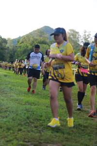 BIB: 
                            <button type="button" onclick="openModal(4968993)" class="btn btn-primary btn-sm float-right btn-popup" data-toggle="modal" data-target=".modal-high-quality">
                        <i class="fas fa-shopping-cart"></i> Add to Cart
                    </button>
                                            <button type="button" onclick="isThisMe(4968993, true)" class="btn btn-success btn-sm float-right btn-popup btn-isme hidden" data-toggle="tooltip" data-placement="bottom" title="นี่คือรูปของคุณใช่ไหม คลิกที่นี่เพื่อเอาเข้าอัลบั้ม">
                        <i class="fas fa-plus"></i> Add to album
                    </button>
                    <button type="button" onclick="isThisMe(4968993, false)" class="btn btn-warning btn-sm float-right btn-popup btn-isnotme hidden">
                        <i class="fas fa-ban"></i> Remove from album
                    </button>