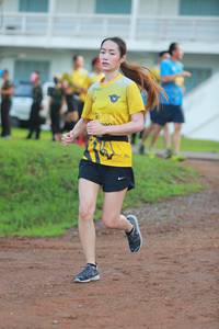 BIB: 
                            <button type="button" onclick="openModal(4939709)" class="btn btn-primary btn-sm float-right btn-popup" data-toggle="modal" data-target=".modal-high-quality">
                        <i class="fas fa-shopping-cart"></i> Add to Cart
                    </button>
                                            <button type="button" onclick="isThisMe(4939709, true)" class="btn btn-success btn-sm float-right btn-popup btn-isme hidden" data-toggle="tooltip" data-placement="bottom" title="นี่คือรูปของคุณใช่ไหม คลิกที่นี่เพื่อเอาเข้าอัลบั้ม">
                        <i class="fas fa-plus"></i> Add to album
                    </button>
                    <button type="button" onclick="isThisMe(4939709, false)" class="btn btn-warning btn-sm float-right btn-popup btn-isnotme hidden">
                        <i class="fas fa-ban"></i> Remove from album
                    </button>