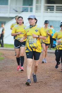 BIB: 
                            <button type="button" onclick="openModal(4956166)" class="btn btn-primary btn-sm float-right btn-popup" data-toggle="modal" data-target=".modal-high-quality">
                        <i class="fas fa-shopping-cart"></i> Add to Cart
                    </button>
                                            <button type="button" onclick="isThisMe(4956166, true)" class="btn btn-success btn-sm float-right btn-popup btn-isme hidden" data-toggle="tooltip" data-placement="bottom" title="นี่คือรูปของคุณใช่ไหม คลิกที่นี่เพื่อเอาเข้าอัลบั้ม">
                        <i class="fas fa-plus"></i> Add to album
                    </button>
                    <button type="button" onclick="isThisMe(4956166, false)" class="btn btn-warning btn-sm float-right btn-popup btn-isnotme hidden">
                        <i class="fas fa-ban"></i> Remove from album
                    </button>