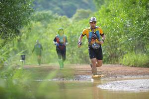 BIB: 
                            <button type="button" onclick="openModal(4913437)" class="btn btn-primary btn-sm float-right btn-popup" data-toggle="modal" data-target=".modal-high-quality">
                        <i class="fas fa-shopping-cart"></i> Add to Cart
                    </button>
                                            <button type="button" onclick="isThisMe(4913437, true)" class="btn btn-success btn-sm float-right btn-popup btn-isme hidden" data-toggle="tooltip" data-placement="bottom" title="นี่คือรูปของคุณใช่ไหม คลิกที่นี่เพื่อเอาเข้าอัลบั้ม">
                        <i class="fas fa-plus"></i> Add to album
                    </button>
                    <button type="button" onclick="isThisMe(4913437, false)" class="btn btn-warning btn-sm float-right btn-popup btn-isnotme hidden">
                        <i class="fas fa-ban"></i> Remove from album
                    </button>