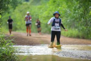 BIB: 
                            <button type="button" onclick="openModal(4915058)" class="btn btn-primary btn-sm float-right btn-popup" data-toggle="modal" data-target=".modal-high-quality">
                        <i class="fas fa-shopping-cart"></i> Add to Cart
                    </button>
                                            <button type="button" onclick="isThisMe(4915058, true)" class="btn btn-success btn-sm float-right btn-popup btn-isme hidden" data-toggle="tooltip" data-placement="bottom" title="นี่คือรูปของคุณใช่ไหม คลิกที่นี่เพื่อเอาเข้าอัลบั้ม">
                        <i class="fas fa-plus"></i> Add to album
                    </button>
                    <button type="button" onclick="isThisMe(4915058, false)" class="btn btn-warning btn-sm float-right btn-popup btn-isnotme hidden">
                        <i class="fas fa-ban"></i> Remove from album
                    </button>