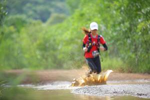 BIB: 
                            <button type="button" onclick="openModal(4915508)" class="btn btn-primary btn-sm float-right btn-popup" data-toggle="modal" data-target=".modal-high-quality">
                        <i class="fas fa-shopping-cart"></i> Add to Cart
                    </button>
                                            <button type="button" onclick="isThisMe(4915508, true)" class="btn btn-success btn-sm float-right btn-popup btn-isme hidden" data-toggle="tooltip" data-placement="bottom" title="นี่คือรูปของคุณใช่ไหม คลิกที่นี่เพื่อเอาเข้าอัลบั้ม">
                        <i class="fas fa-plus"></i> Add to album
                    </button>
                    <button type="button" onclick="isThisMe(4915508, false)" class="btn btn-warning btn-sm float-right btn-popup btn-isnotme hidden">
                        <i class="fas fa-ban"></i> Remove from album
                    </button>