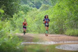 BIB: 
                            <button type="button" onclick="openModal(4907844)" class="btn btn-primary btn-sm float-right btn-popup" data-toggle="modal" data-target=".modal-high-quality">
                        <i class="fas fa-shopping-cart"></i> Add to Cart
                    </button>
                                            <button type="button" onclick="isThisMe(4907844, true)" class="btn btn-success btn-sm float-right btn-popup btn-isme hidden" data-toggle="tooltip" data-placement="bottom" title="นี่คือรูปของคุณใช่ไหม คลิกที่นี่เพื่อเอาเข้าอัลบั้ม">
                        <i class="fas fa-plus"></i> Add to album
                    </button>
                    <button type="button" onclick="isThisMe(4907844, false)" class="btn btn-warning btn-sm float-right btn-popup btn-isnotme hidden">
                        <i class="fas fa-ban"></i> Remove from album
                    </button>