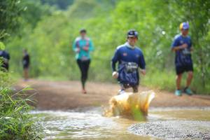 BIB: 
                            <button type="button" onclick="openModal(4914680)" class="btn btn-primary btn-sm float-right btn-popup" data-toggle="modal" data-target=".modal-high-quality">
                        <i class="fas fa-shopping-cart"></i> Add to Cart
                    </button>
                                            <button type="button" onclick="isThisMe(4914680, true)" class="btn btn-success btn-sm float-right btn-popup btn-isme hidden" data-toggle="tooltip" data-placement="bottom" title="นี่คือรูปของคุณใช่ไหม คลิกที่นี่เพื่อเอาเข้าอัลบั้ม">
                        <i class="fas fa-plus"></i> Add to album
                    </button>
                    <button type="button" onclick="isThisMe(4914680, false)" class="btn btn-warning btn-sm float-right btn-popup btn-isnotme hidden">
                        <i class="fas fa-ban"></i> Remove from album
                    </button>