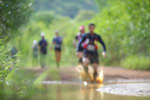 BIB: 
                            <button type="button" onclick="openModal(4913690)" class="btn btn-primary btn-sm float-right btn-popup" data-toggle="modal" data-target=".modal-high-quality">
                        <i class="fas fa-shopping-cart"></i> Add to Cart
                    </button>
                                            <button type="button" onclick="isThisMe(4913690, true)" class="btn btn-success btn-sm float-right btn-popup btn-isme hidden" data-toggle="tooltip" data-placement="bottom" title="นี่คือรูปของคุณใช่ไหม คลิกที่นี่เพื่อเอาเข้าอัลบั้ม">
                        <i class="fas fa-plus"></i> Add to album
                    </button>
                    <button type="button" onclick="isThisMe(4913690, false)" class="btn btn-warning btn-sm float-right btn-popup btn-isnotme hidden">
                        <i class="fas fa-ban"></i> Remove from album
                    </button>