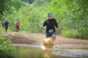 BIB: 
                            <button type="button" onclick="openModal(4907223)" class="btn btn-primary btn-sm float-right btn-popup" data-toggle="modal" data-target=".modal-high-quality">
                        <i class="fas fa-shopping-cart"></i> Add to Cart
                    </button>
                                            <button type="button" onclick="isThisMe(4907223, true)" class="btn btn-success btn-sm float-right btn-popup btn-isme hidden" data-toggle="tooltip" data-placement="bottom" title="นี่คือรูปของคุณใช่ไหม คลิกที่นี่เพื่อเอาเข้าอัลบั้ม">
                        <i class="fas fa-plus"></i> Add to album
                    </button>
                    <button type="button" onclick="isThisMe(4907223, false)" class="btn btn-warning btn-sm float-right btn-popup btn-isnotme hidden">
                        <i class="fas fa-ban"></i> Remove from album
                    </button>