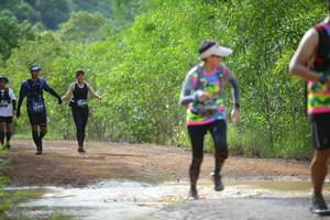 BIB: 
                            <button type="button" onclick="openModal(4914379)" class="btn btn-primary btn-sm float-right btn-popup" data-toggle="modal" data-target=".modal-high-quality">
                        <i class="fas fa-shopping-cart"></i> Add to Cart
                    </button>
                                            <button type="button" onclick="isThisMe(4914379, true)" class="btn btn-success btn-sm float-right btn-popup btn-isme hidden" data-toggle="tooltip" data-placement="bottom" title="นี่คือรูปของคุณใช่ไหม คลิกที่นี่เพื่อเอาเข้าอัลบั้ม">
                        <i class="fas fa-plus"></i> Add to album
                    </button>
                    <button type="button" onclick="isThisMe(4914379, false)" class="btn btn-warning btn-sm float-right btn-popup btn-isnotme hidden">
                        <i class="fas fa-ban"></i> Remove from album
                    </button>