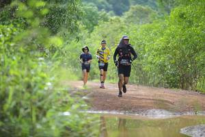 BIB: 
                            <button type="button" onclick="openModal(4914865)" class="btn btn-primary btn-sm float-right btn-popup" data-toggle="modal" data-target=".modal-high-quality">
                        <i class="fas fa-shopping-cart"></i> Add to Cart
                    </button>
                                            <button type="button" onclick="isThisMe(4914865, true)" class="btn btn-success btn-sm float-right btn-popup btn-isme hidden" data-toggle="tooltip" data-placement="bottom" title="นี่คือรูปของคุณใช่ไหม คลิกที่นี่เพื่อเอาเข้าอัลบั้ม">
                        <i class="fas fa-plus"></i> Add to album
                    </button>
                    <button type="button" onclick="isThisMe(4914865, false)" class="btn btn-warning btn-sm float-right btn-popup btn-isnotme hidden">
                        <i class="fas fa-ban"></i> Remove from album
                    </button>