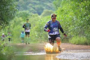 BIB: 0684, 
                            <button type="button" onclick="openModal(4915535)" class="btn btn-primary btn-sm float-right btn-popup" data-toggle="modal" data-target=".modal-high-quality">
                        <i class="fas fa-shopping-cart"></i> Add to Cart
                    </button>
                                            <button type="button" onclick="isThisMe(4915535, true)" class="btn btn-success btn-sm float-right btn-popup btn-isme hidden" data-toggle="tooltip" data-placement="bottom" title="นี่คือรูปของคุณใช่ไหม คลิกที่นี่เพื่อเอาเข้าอัลบั้ม">
                        <i class="fas fa-plus"></i> Add to album
                    </button>
                    <button type="button" onclick="isThisMe(4915535, false)" class="btn btn-warning btn-sm float-right btn-popup btn-isnotme hidden">
                        <i class="fas fa-ban"></i> Remove from album
                    </button>