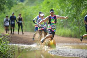 BIB: 
                            <button type="button" onclick="openModal(4914356)" class="btn btn-primary btn-sm float-right btn-popup" data-toggle="modal" data-target=".modal-high-quality">
                        <i class="fas fa-shopping-cart"></i> Add to Cart
                    </button>
                                            <button type="button" onclick="isThisMe(4914356, true)" class="btn btn-success btn-sm float-right btn-popup btn-isme hidden" data-toggle="tooltip" data-placement="bottom" title="นี่คือรูปของคุณใช่ไหม คลิกที่นี่เพื่อเอาเข้าอัลบั้ม">
                        <i class="fas fa-plus"></i> Add to album
                    </button>
                    <button type="button" onclick="isThisMe(4914356, false)" class="btn btn-warning btn-sm float-right btn-popup btn-isnotme hidden">
                        <i class="fas fa-ban"></i> Remove from album
                    </button>