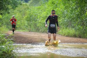 BIB: 4582
                            <button type="button" onclick="openModal(4914774)" class="btn btn-primary btn-sm float-right btn-popup" data-toggle="modal" data-target=".modal-high-quality">
                        <i class="fas fa-shopping-cart"></i> Add to Cart
                    </button>
                                            <button type="button" onclick="isThisMe(4914774, true)" class="btn btn-success btn-sm float-right btn-popup btn-isme hidden" data-toggle="tooltip" data-placement="bottom" title="นี่คือรูปของคุณใช่ไหม คลิกที่นี่เพื่อเอาเข้าอัลบั้ม">
                        <i class="fas fa-plus"></i> Add to album
                    </button>
                    <button type="button" onclick="isThisMe(4914774, false)" class="btn btn-warning btn-sm float-right btn-popup btn-isnotme hidden">
                        <i class="fas fa-ban"></i> Remove from album
                    </button>