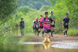 BIB: 
                            <button type="button" onclick="openModal(4913625)" class="btn btn-primary btn-sm float-right btn-popup" data-toggle="modal" data-target=".modal-high-quality">
                        <i class="fas fa-shopping-cart"></i> Add to Cart
                    </button>
                                            <button type="button" onclick="isThisMe(4913625, true)" class="btn btn-success btn-sm float-right btn-popup btn-isme hidden" data-toggle="tooltip" data-placement="bottom" title="นี่คือรูปของคุณใช่ไหม คลิกที่นี่เพื่อเอาเข้าอัลบั้ม">
                        <i class="fas fa-plus"></i> Add to album
                    </button>
                    <button type="button" onclick="isThisMe(4913625, false)" class="btn btn-warning btn-sm float-right btn-popup btn-isnotme hidden">
                        <i class="fas fa-ban"></i> Remove from album
                    </button>