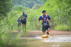 BIB: 0173, 
                            <button type="button" onclick="openModal(4885124)" class="btn btn-primary btn-sm float-right btn-popup" data-toggle="modal" data-target=".modal-high-quality">
                        <i class="fas fa-shopping-cart"></i> Add to Cart
                    </button>
                                            <button type="button" onclick="isThisMe(4885124, true)" class="btn btn-success btn-sm float-right btn-popup btn-isme hidden" data-toggle="tooltip" data-placement="bottom" title="นี่คือรูปของคุณใช่ไหม คลิกที่นี่เพื่อเอาเข้าอัลบั้ม">
                        <i class="fas fa-plus"></i> Add to album
                    </button>
                    <button type="button" onclick="isThisMe(4885124, false)" class="btn btn-warning btn-sm float-right btn-popup btn-isnotme hidden">
                        <i class="fas fa-ban"></i> Remove from album
                    </button>