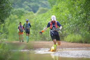 BIB: 619
                            <button type="button" onclick="openModal(4915586)" class="btn btn-primary btn-sm float-right btn-popup" data-toggle="modal" data-target=".modal-high-quality">
                        <i class="fas fa-shopping-cart"></i> Add to Cart
                    </button>
                                            <button type="button" onclick="isThisMe(4915586, true)" class="btn btn-success btn-sm float-right btn-popup btn-isme hidden" data-toggle="tooltip" data-placement="bottom" title="นี่คือรูปของคุณใช่ไหม คลิกที่นี่เพื่อเอาเข้าอัลบั้ม">
                        <i class="fas fa-plus"></i> Add to album
                    </button>
                    <button type="button" onclick="isThisMe(4915586, false)" class="btn btn-warning btn-sm float-right btn-popup btn-isnotme hidden">
                        <i class="fas fa-ban"></i> Remove from album
                    </button>