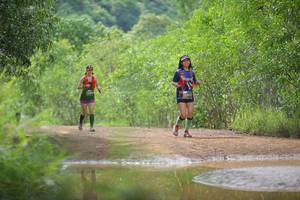 BIB: 
                            <button type="button" onclick="openModal(4907853)" class="btn btn-primary btn-sm float-right btn-popup" data-toggle="modal" data-target=".modal-high-quality">
                        <i class="fas fa-shopping-cart"></i> Add to Cart
                    </button>
                                            <button type="button" onclick="isThisMe(4907853, true)" class="btn btn-success btn-sm float-right btn-popup btn-isme hidden" data-toggle="tooltip" data-placement="bottom" title="นี่คือรูปของคุณใช่ไหม คลิกที่นี่เพื่อเอาเข้าอัลบั้ม">
                        <i class="fas fa-plus"></i> Add to album
                    </button>
                    <button type="button" onclick="isThisMe(4907853, false)" class="btn btn-warning btn-sm float-right btn-popup btn-isnotme hidden">
                        <i class="fas fa-ban"></i> Remove from album
                    </button>