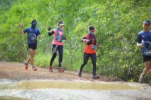 BIB: 
                            <button type="button" onclick="openModal(4915380)" class="btn btn-primary btn-sm float-right btn-popup" data-toggle="modal" data-target=".modal-high-quality">
                        <i class="fas fa-shopping-cart"></i> Add to Cart
                    </button>
                                            <button type="button" onclick="isThisMe(4915380, true)" class="btn btn-success btn-sm float-right btn-popup btn-isme hidden" data-toggle="tooltip" data-placement="bottom" title="นี่คือรูปของคุณใช่ไหม คลิกที่นี่เพื่อเอาเข้าอัลบั้ม">
                        <i class="fas fa-plus"></i> Add to album
                    </button>
                    <button type="button" onclick="isThisMe(4915380, false)" class="btn btn-warning btn-sm float-right btn-popup btn-isnotme hidden">
                        <i class="fas fa-ban"></i> Remove from album
                    </button>