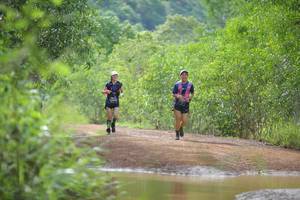 BIB: 
                            <button type="button" onclick="openModal(4914806)" class="btn btn-primary btn-sm float-right btn-popup" data-toggle="modal" data-target=".modal-high-quality">
                        <i class="fas fa-shopping-cart"></i> Add to Cart
                    </button>
                                            <button type="button" onclick="isThisMe(4914806, true)" class="btn btn-success btn-sm float-right btn-popup btn-isme hidden" data-toggle="tooltip" data-placement="bottom" title="นี่คือรูปของคุณใช่ไหม คลิกที่นี่เพื่อเอาเข้าอัลบั้ม">
                        <i class="fas fa-plus"></i> Add to album
                    </button>
                    <button type="button" onclick="isThisMe(4914806, false)" class="btn btn-warning btn-sm float-right btn-popup btn-isnotme hidden">
                        <i class="fas fa-ban"></i> Remove from album
                    </button>