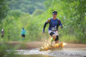 BIB: 
                            <button type="button" onclick="openModal(4915554)" class="btn btn-primary btn-sm float-right btn-popup" data-toggle="modal" data-target=".modal-high-quality">
                        <i class="fas fa-shopping-cart"></i> Add to Cart
                    </button>
                                            <button type="button" onclick="isThisMe(4915554, true)" class="btn btn-success btn-sm float-right btn-popup btn-isme hidden" data-toggle="tooltip" data-placement="bottom" title="นี่คือรูปของคุณใช่ไหม คลิกที่นี่เพื่อเอาเข้าอัลบั้ม">
                        <i class="fas fa-plus"></i> Add to album
                    </button>
                    <button type="button" onclick="isThisMe(4915554, false)" class="btn btn-warning btn-sm float-right btn-popup btn-isnotme hidden">
                        <i class="fas fa-ban"></i> Remove from album
                    </button>