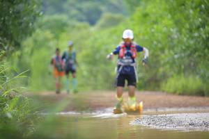 BIB: 
                            <button type="button" onclick="openModal(4915583)" class="btn btn-primary btn-sm float-right btn-popup" data-toggle="modal" data-target=".modal-high-quality">
                        <i class="fas fa-shopping-cart"></i> Add to Cart
                    </button>
                                            <button type="button" onclick="isThisMe(4915583, true)" class="btn btn-success btn-sm float-right btn-popup btn-isme hidden" data-toggle="tooltip" data-placement="bottom" title="นี่คือรูปของคุณใช่ไหม คลิกที่นี่เพื่อเอาเข้าอัลบั้ม">
                        <i class="fas fa-plus"></i> Add to album
                    </button>
                    <button type="button" onclick="isThisMe(4915583, false)" class="btn btn-warning btn-sm float-right btn-popup btn-isnotme hidden">
                        <i class="fas fa-ban"></i> Remove from album
                    </button>