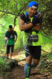 BIB: 0239
                            <button type="button" onclick="openModal(4918884)" class="btn btn-primary btn-sm float-right btn-popup" data-toggle="modal" data-target=".modal-high-quality">
                        <i class="fas fa-shopping-cart"></i> Add to Cart
                    </button>
                                            <button type="button" onclick="isThisMe(4918884, true)" class="btn btn-success btn-sm float-right btn-popup btn-isme hidden" data-toggle="tooltip" data-placement="bottom" title="นี่คือรูปของคุณใช่ไหม คลิกที่นี่เพื่อเอาเข้าอัลบั้ม">
                        <i class="fas fa-plus"></i> Add to album
                    </button>
                    <button type="button" onclick="isThisMe(4918884, false)" class="btn btn-warning btn-sm float-right btn-popup btn-isnotme hidden">
                        <i class="fas fa-ban"></i> Remove from album
                    </button>
