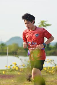 BIB: 0239
                            <button type="button" onclick="openModal(5158430)" class="btn btn-primary btn-sm float-right btn-popup" data-toggle="modal" data-target=".modal-high-quality">
                        <i class="fas fa-shopping-cart"></i> Add to Cart
                    </button>
                                            <button type="button" onclick="isThisMe(5158430, true)" class="btn btn-success btn-sm float-right btn-popup btn-isme hidden" data-toggle="tooltip" data-placement="bottom" title="นี่คือรูปของคุณใช่ไหม คลิกที่นี่เพื่อเอาเข้าอัลบั้ม">
                        <i class="fas fa-plus"></i> Add to album
                    </button>
                    <button type="button" onclick="isThisMe(5158430, false)" class="btn btn-warning btn-sm float-right btn-popup btn-isnotme hidden">
                        <i class="fas fa-ban"></i> Remove from album
                    </button>