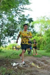 BIB: 
                            <button type="button" onclick="openModal(4943658)" class="btn btn-primary btn-sm float-right btn-popup" data-toggle="modal" data-target=".modal-high-quality">
                        <i class="fas fa-shopping-cart"></i> Add to Cart
                    </button>
                                            <button type="button" onclick="isThisMe(4943658, true)" class="btn btn-success btn-sm float-right btn-popup btn-isme hidden" data-toggle="tooltip" data-placement="bottom" title="นี่คือรูปของคุณใช่ไหม คลิกที่นี่เพื่อเอาเข้าอัลบั้ม">
                        <i class="fas fa-plus"></i> Add to album
                    </button>
                    <button type="button" onclick="isThisMe(4943658, false)" class="btn btn-warning btn-sm float-right btn-popup btn-isnotme hidden">
                        <i class="fas fa-ban"></i> Remove from album
                    </button>