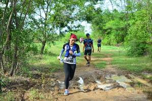 BIB: 
                            <button type="button" onclick="openModal(5024735)" class="btn btn-primary btn-sm float-right btn-popup" data-toggle="modal" data-target=".modal-high-quality">
                        <i class="fas fa-shopping-cart"></i> Add to Cart
                    </button>
                                            <button type="button" onclick="isThisMe(5024735, true)" class="btn btn-success btn-sm float-right btn-popup btn-isme hidden" data-toggle="tooltip" data-placement="bottom" title="นี่คือรูปของคุณใช่ไหม คลิกที่นี่เพื่อเอาเข้าอัลบั้ม">
                        <i class="fas fa-plus"></i> Add to album
                    </button>
                    <button type="button" onclick="isThisMe(5024735, false)" class="btn btn-warning btn-sm float-right btn-popup btn-isnotme hidden">
                        <i class="fas fa-ban"></i> Remove from album
                    </button>