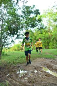 BIB: 
                            <button type="button" onclick="openModal(4943598)" class="btn btn-primary btn-sm float-right btn-popup" data-toggle="modal" data-target=".modal-high-quality">
                        <i class="fas fa-shopping-cart"></i> Add to Cart
                    </button>
                                            <button type="button" onclick="isThisMe(4943598, true)" class="btn btn-success btn-sm float-right btn-popup btn-isme hidden" data-toggle="tooltip" data-placement="bottom" title="นี่คือรูปของคุณใช่ไหม คลิกที่นี่เพื่อเอาเข้าอัลบั้ม">
                        <i class="fas fa-plus"></i> Add to album
                    </button>
                    <button type="button" onclick="isThisMe(4943598, false)" class="btn btn-warning btn-sm float-right btn-popup btn-isnotme hidden">
                        <i class="fas fa-ban"></i> Remove from album
                    </button>