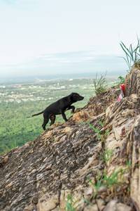 BIB: 
                            <button type="button" onclick="openModal(5242080)" class="btn btn-primary btn-sm float-right btn-popup" data-toggle="modal" data-target=".modal-high-quality">
                        <i class="fas fa-shopping-cart"></i> Add to Cart
                    </button>
                                            <button type="button" onclick="isThisMe(5242080, true)" class="btn btn-success btn-sm float-right btn-popup btn-isme hidden" data-toggle="tooltip" data-placement="bottom" title="นี่คือรูปของคุณใช่ไหม คลิกที่นี่เพื่อเอาเข้าอัลบั้ม">
                        <i class="fas fa-plus"></i> Add to album
                    </button>
                    <button type="button" onclick="isThisMe(5242080, false)" class="btn btn-warning btn-sm float-right btn-popup btn-isnotme hidden">
                        <i class="fas fa-ban"></i> Remove from album
                    </button>