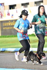 BIB: 0952, 028
                            <button type="button" onclick="openModal(5058206)" class="btn btn-primary btn-sm float-right btn-popup" data-toggle="modal" data-target=".modal-high-quality">
                        <i class="fas fa-shopping-cart"></i> Add to Cart
                    </button>
                                            <button type="button" onclick="isThisMe(5058206, true)" class="btn btn-success btn-sm float-right btn-popup btn-isme hidden" data-toggle="tooltip" data-placement="bottom" title="นี่คือรูปของคุณใช่ไหม คลิกที่นี่เพื่อเอาเข้าอัลบั้ม">
                        <i class="fas fa-plus"></i> Add to album
                    </button>
                    <button type="button" onclick="isThisMe(5058206, false)" class="btn btn-warning btn-sm float-right btn-popup btn-isnotme hidden">
                        <i class="fas fa-ban"></i> Remove from album
                    </button>