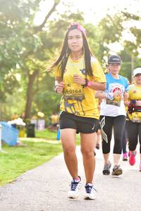 BIB: 0164
                            <button type="button" onclick="openModal(5060558)" class="btn btn-primary btn-sm float-right btn-popup" data-toggle="modal" data-target=".modal-high-quality">
                        <i class="fas fa-shopping-cart"></i> Add to Cart
                    </button>
                                            <button type="button" onclick="isThisMe(5060558, true)" class="btn btn-success btn-sm float-right btn-popup btn-isme hidden" data-toggle="tooltip" data-placement="bottom" title="นี่คือรูปของคุณใช่ไหม คลิกที่นี่เพื่อเอาเข้าอัลบั้ม">
                        <i class="fas fa-plus"></i> Add to album
                    </button>
                    <button type="button" onclick="isThisMe(5060558, false)" class="btn btn-warning btn-sm float-right btn-popup btn-isnotme hidden">
                        <i class="fas fa-ban"></i> Remove from album
                    </button>