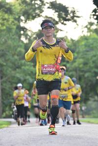 BIB: 0043, 
                            <button type="button" onclick="openModal(5059301)" class="btn btn-primary btn-sm float-right btn-popup" data-toggle="modal" data-target=".modal-high-quality">
                        <i class="fas fa-shopping-cart"></i> Add to Cart
                    </button>
                                            <button type="button" onclick="isThisMe(5059301, true)" class="btn btn-success btn-sm float-right btn-popup btn-isme hidden" data-toggle="tooltip" data-placement="bottom" title="นี่คือรูปของคุณใช่ไหม คลิกที่นี่เพื่อเอาเข้าอัลบั้ม">
                        <i class="fas fa-plus"></i> Add to album
                    </button>
                    <button type="button" onclick="isThisMe(5059301, false)" class="btn btn-warning btn-sm float-right btn-popup btn-isnotme hidden">
                        <i class="fas fa-ban"></i> Remove from album
                    </button>